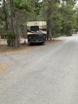 Grant Village Campground by null