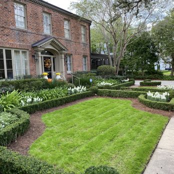 Healthy Roots - Landscaping Near Me