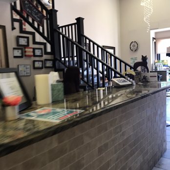 ALL Creatures Veterinary Center - Front desk - Veterinarians Near Me - Newhall, California ALL Creatures Veterinary Center - Front desk - Veterinarians Near Me - Newhall, California