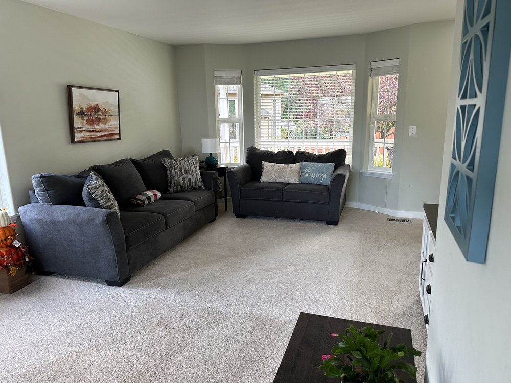 JEFF’S CARPET CLEANING PLUS Updated August 2024 12 Reviews 8317