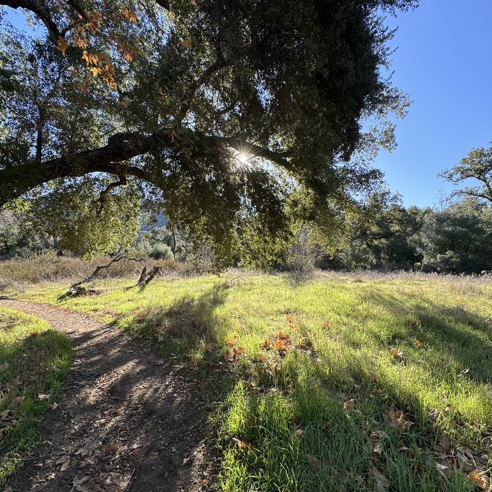 Cedar Creek Falls - Hiking Near Me - Ramona, California Cedar Creek Falls - Hiking Near Me - Ramona, California
