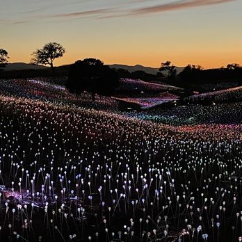 Sensorio - Field of Lights - Art Galleries Near Me - Paso Robles, California