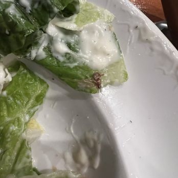Cattlemens Steakhouse - Bugs in salad - Steakhouses Near Me - Redding, California