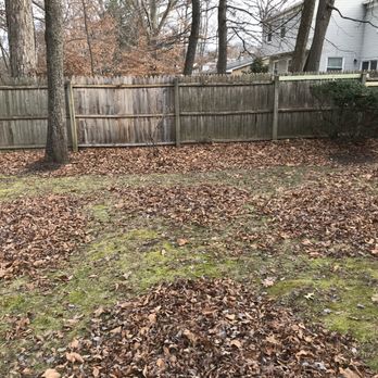 Johnson & Sons Landscaping - a backyard with a fence and a lot of leaves on the ground - Landscaping Near Me Johnson & Sons Landscaping - a backyard with a fence and a lot of leaves on the ground - Landscaping Near Me