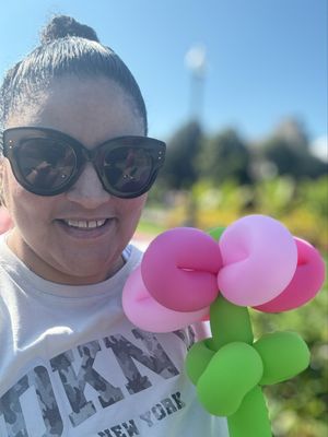 Public Garden by null