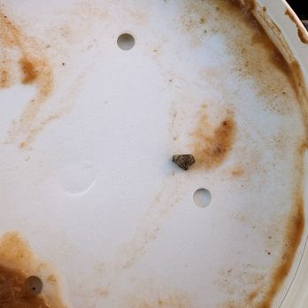 ORA - Rock I found in my lentil soup. Not cool. - Cafes Near Me - Los Angeles, California