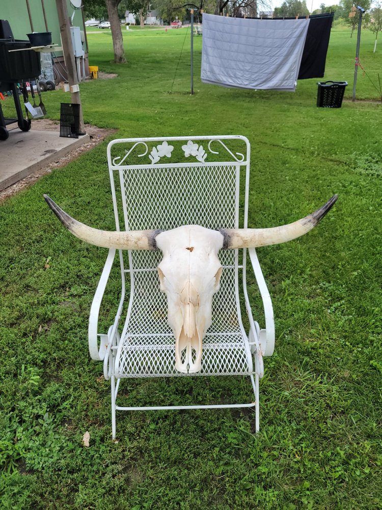 BACKYARD BONES Updated September 2024 Request Information