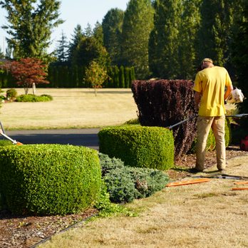 Augusta Lawn Care - two men trimming bushes - Landscaping Near Me Augusta Lawn Care - two men trimming bushes - Landscaping Near Me