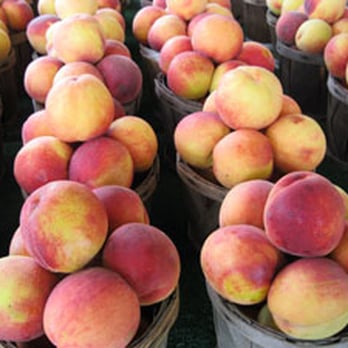 Pastore Orchards - baskets of peaches for sale - Farmers Market Near Me - Hammonton, New Jersey
