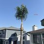 Photo of Value Tree Service