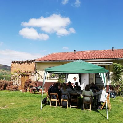 Rioja Wine Tours by null