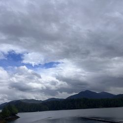 Seal Cove