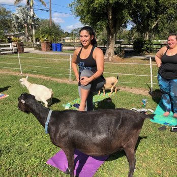 Downward Goat - Yoga Near Me Downward Goat - Yoga Near Me