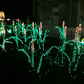 Garden D'Lights - Local Flavor Near Me - Bellevue, Washington Garden D'Lights - Local Flavor Near Me - Bellevue, Washington