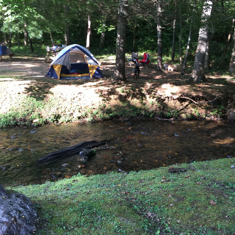 Enota - Our campsite along the creek. We really liked having our dogs with us. - Campgrounds Near Me - Hiawassee, Georgia