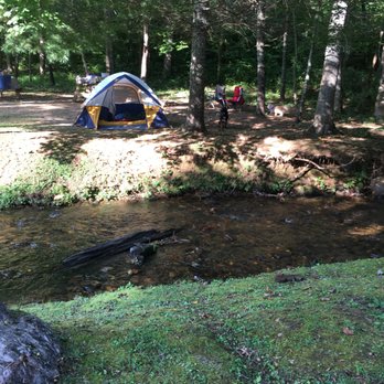 Enota - Our campsite along the creek. We really liked having our dogs with us. - Campgrounds Near Me - Hiawassee, Georgia