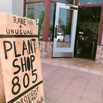 Plant Shop 805 - Plant Shop 805 sign. - Nurseries & Gardening Near Me - Ventura, California Plant Shop 805 - Plant Shop 805 sign. - Nurseries & Gardening Near Me - Ventura, California