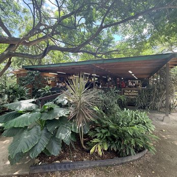 North Shore Macadamia Nut - Coffee & Tea Near Me - Haleiwa, Hawaii North Shore Macadamia Nut - Coffee & Tea Near Me - Haleiwa, Hawaii