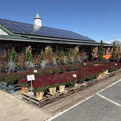 How Sweet It Is - Who is ready for FALL PLANTING??