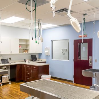 County Line Veterinary Clinic - Veterinarians Near Me - New Braunfels, Texas County Line Veterinary Clinic - Veterinarians Near Me - New Braunfels, Texas