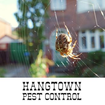 Hangtown Pest Control - Pest Control Near Me - Sacramento, California Hangtown Pest Control - Pest Control Near Me - Sacramento, California