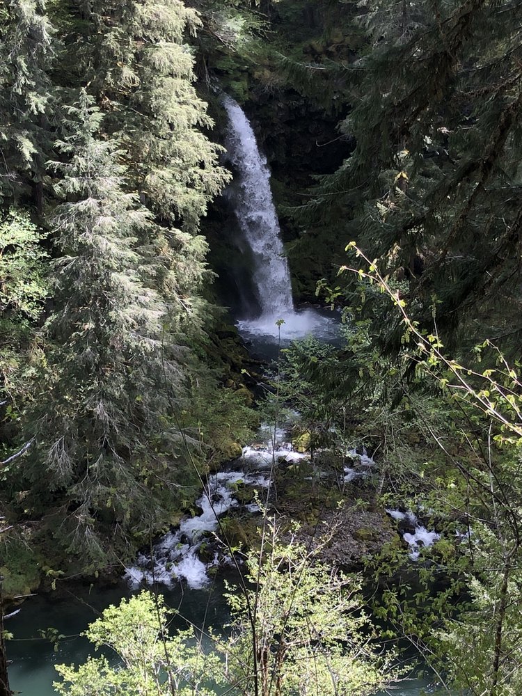 Curly Creek Falls Logo
