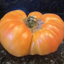 Kugel Farms