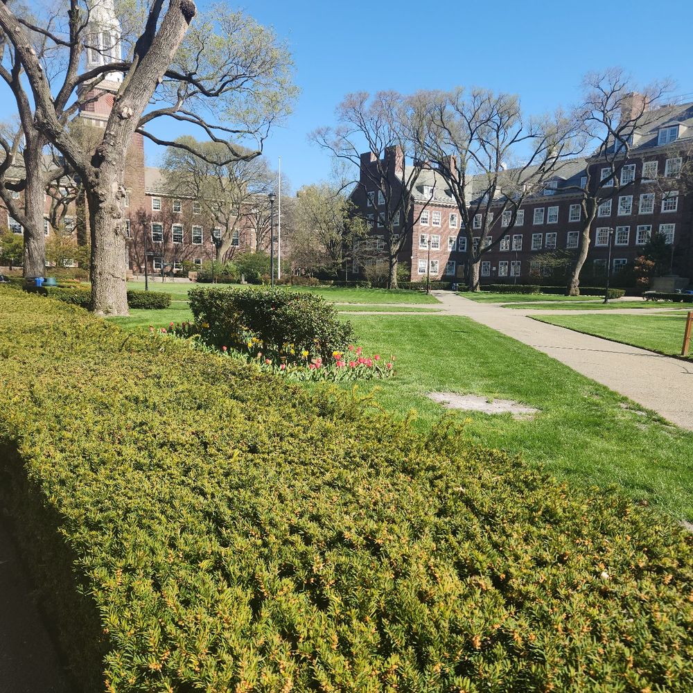 CUNY Brooklyn College - Oitside - Colleges & Universities Near Me - Brooklyn, New York CUNY Brooklyn College - Oitside - Colleges & Universities Near Me - Brooklyn, New York