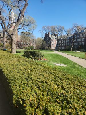 Brooklyn College by null