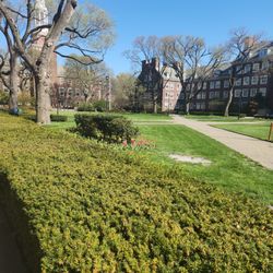 CUNY Brooklyn College - Oitside