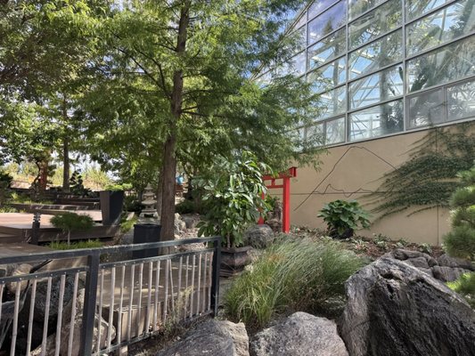 Amarillo Botanical Gardens by null