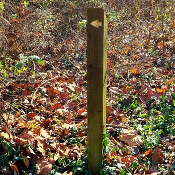 Kelley Nature Preserve - Well marked trails - Parks Near Me - Loveland, Ohio