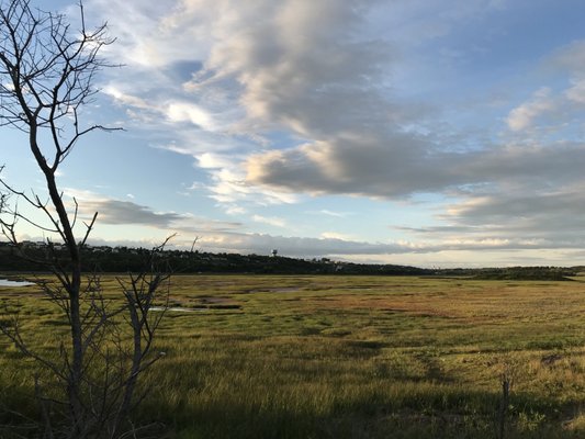 Irving Nature Park by null