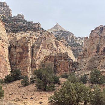 Capitol Reef National Park - Parks Near Me - Fruita, Utah