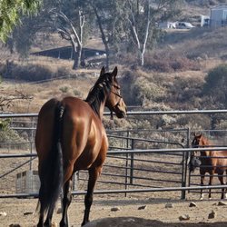 Hidden Horseshoe Ranch
