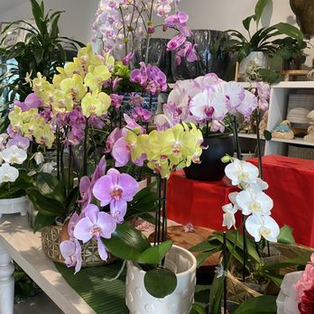 Orchid Boutique Florist - Flowers - Flowers & Gifts Near Me - San Gabriel, California Orchid Boutique Florist - Flowers - Flowers & Gifts Near Me - San Gabriel, California