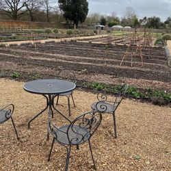 Ham House - Garden