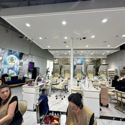 Look of the salon