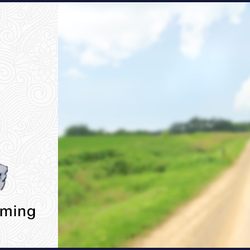 Country Kennel Grooming - Teeth Cleaning