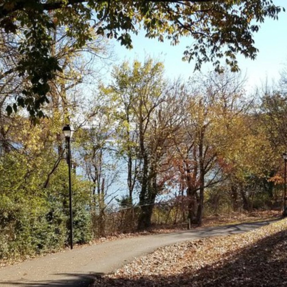 Lakeshore Park - Parks Near Me - Knoxville, Tennessee Lakeshore Park - Parks Near Me - Knoxville, Tennessee
