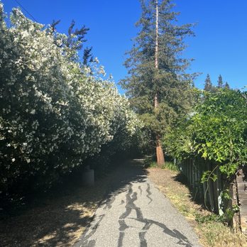 McKenzie Park - Parks Near Me - Los Altos, California