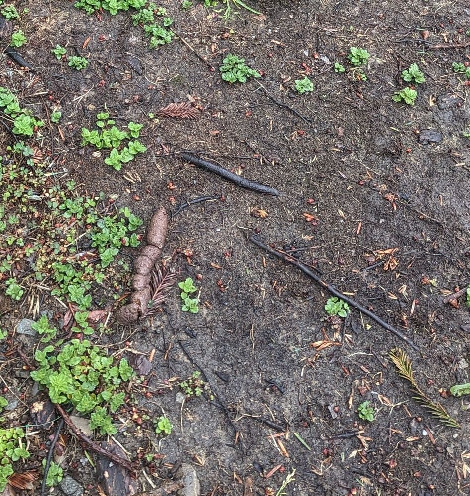 ASHTON PARC 34 Photos & 39 Reviews 2201 Arena Blvd, Sacramento