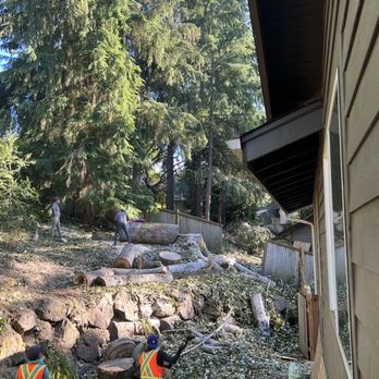 Jorge Landscaping & Tree Services - Landscaping Near Me - Belfair, Washington Jorge Landscaping & Tree Services - Landscaping Near Me - Belfair, Washington