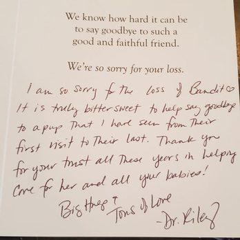 All Creatures Animal Hospital - card received - Veterinarians Near Me - Lutz, Florida All Creatures Animal Hospital - card received - Veterinarians Near Me - Lutz, Florida