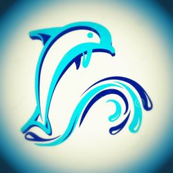 Noah Pool and Spa - business logo