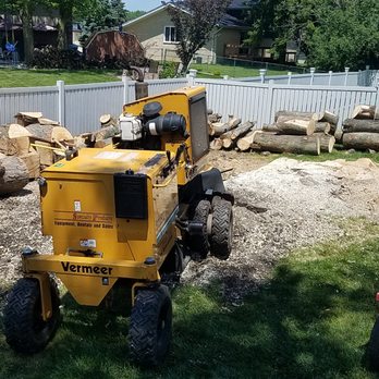 Koala Tree Service - Tree Services Near Me