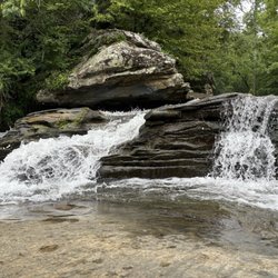 Turkey Creek Nature Preserve - July 19, 2024