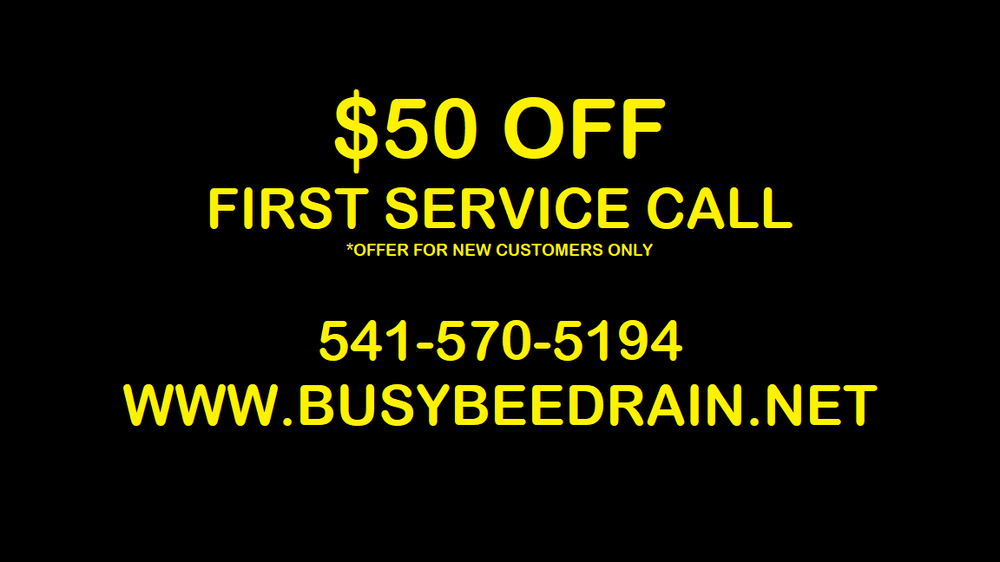 Slide of Busy Bee Drain