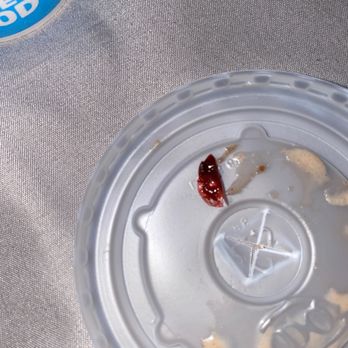Dairy Queen Grill & Chill - A piece of plastic. - Fast Food Near Me - Manteca, California Dairy Queen Grill & Chill - A piece of plastic. - Fast Food Near Me - Manteca, California