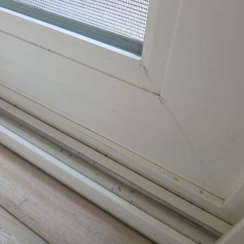 Tiger Cleaning Services - Home Cleaning Near Me Tiger Cleaning Services - Home Cleaning Near Me